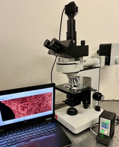 Leitz Laborlux D Broadband LED Fluorescence Microscope with MP