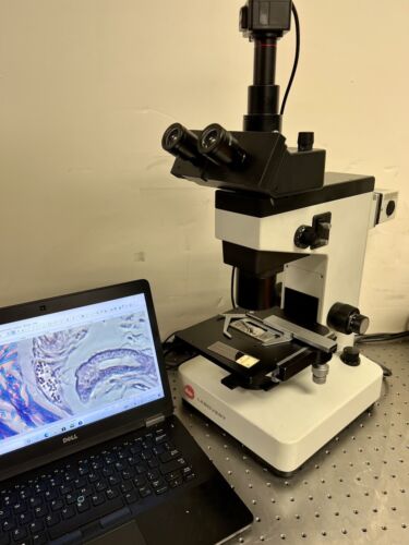 Lietz Leica Labovert Inverted Microscope Phase Contrast + Camera – My Store