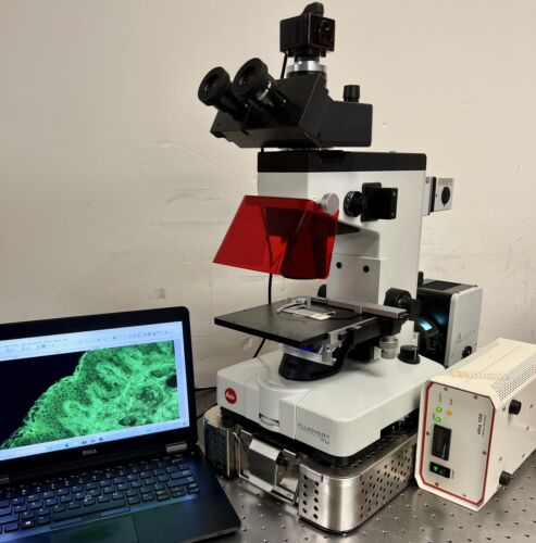 Leica Wild Leitz FLUOVERT FU Fluorescence Phase Inverted Microscope ...