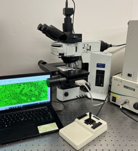 Olympus BX51 Scanning Fluorescence Prior Proscan 2 Microscope 5MP Cam ...
