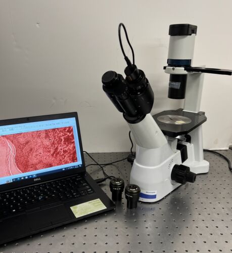Thermo Fisher Micromaster Microscope Inverted Phase Contrast (Laxco ...