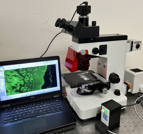 Leica Wild Leitz FLUOVERT FU IVFl LED Fluoro Ph Inverted Microscope 5M ...