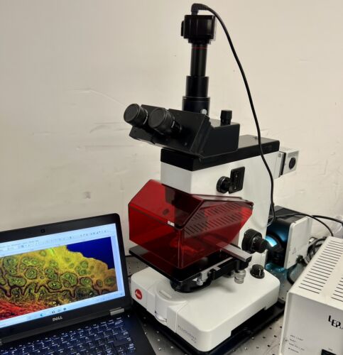 Leica Wild Leitz FLUOVERT FU Fluorescence Phase Inverted Microscope ...