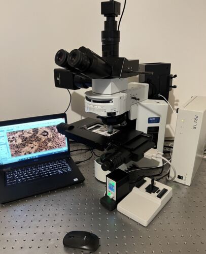 Olympus BX51 Scanning Spectrofluormetric Prior Proscan 2 Microscope 5M ...