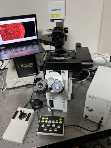Olympus IX81 Inverted Scanning Fluorescence DIC Microscope X-Cite LED ...