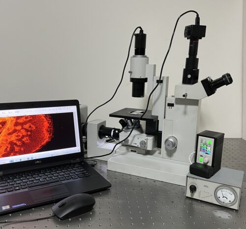 Leitz Epivert Diavert Inverted LED Fluorescence Phase Microscope – My Store