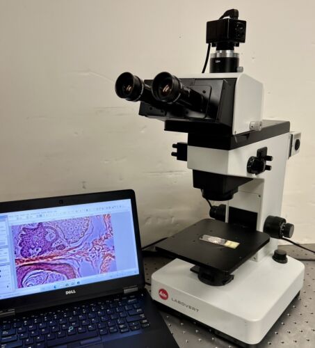 Lietz Leica Labovert ERGO Inverted Microscope + 5 MP Camera – My Store