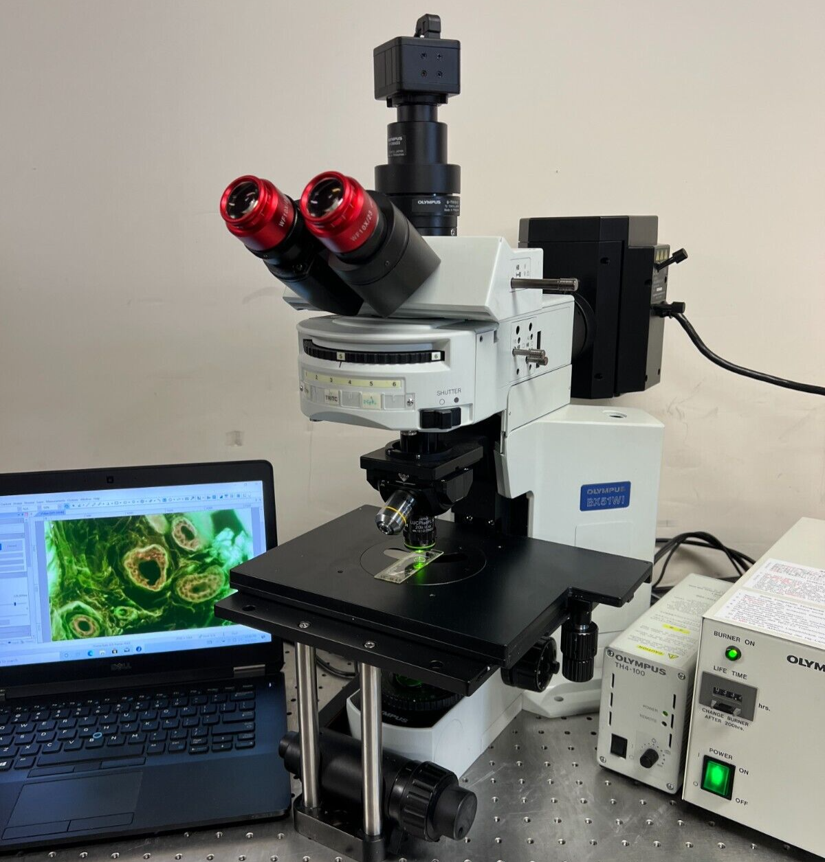 Olympus BX51 WI Water immersion Fluorescence Microscope +Cam – My Store