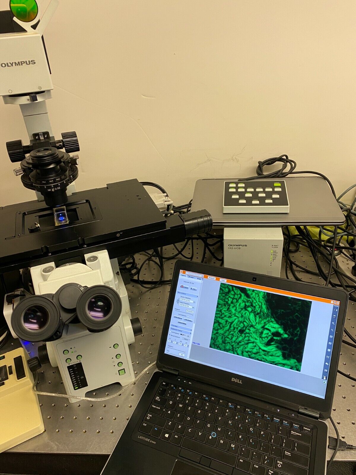 Olympus IX81 Inverted Scanning Fluorescence Microscope Lumencor LED an ...