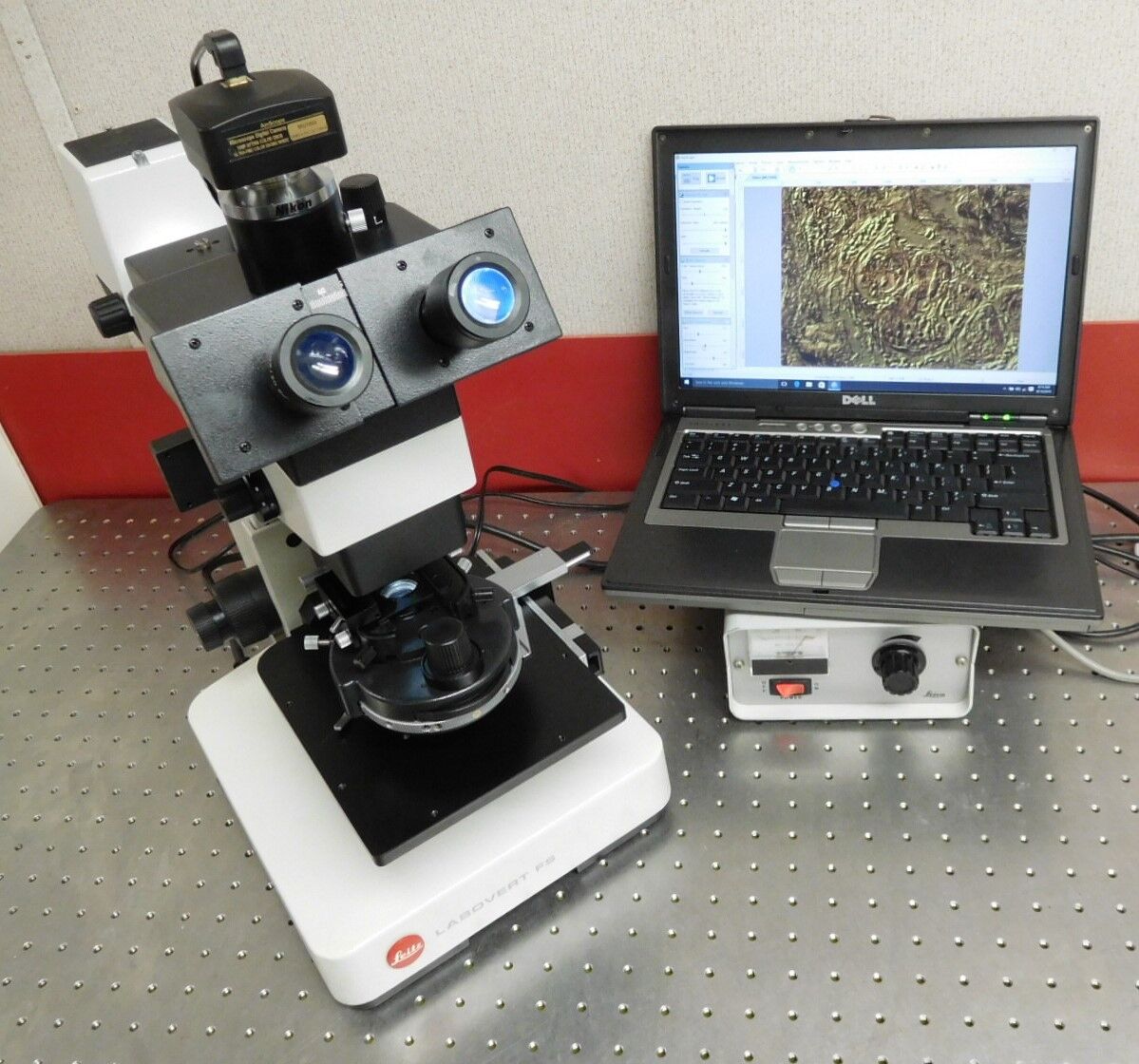 Leitz Leica Wild Labovert FS Nomarski DIC Inverted Transmitted Microsc ...